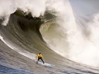 FB体育赛事-布伦森全程高能输出，森林狼强势拿下鹈鹕，一场攻防博弈的胜利