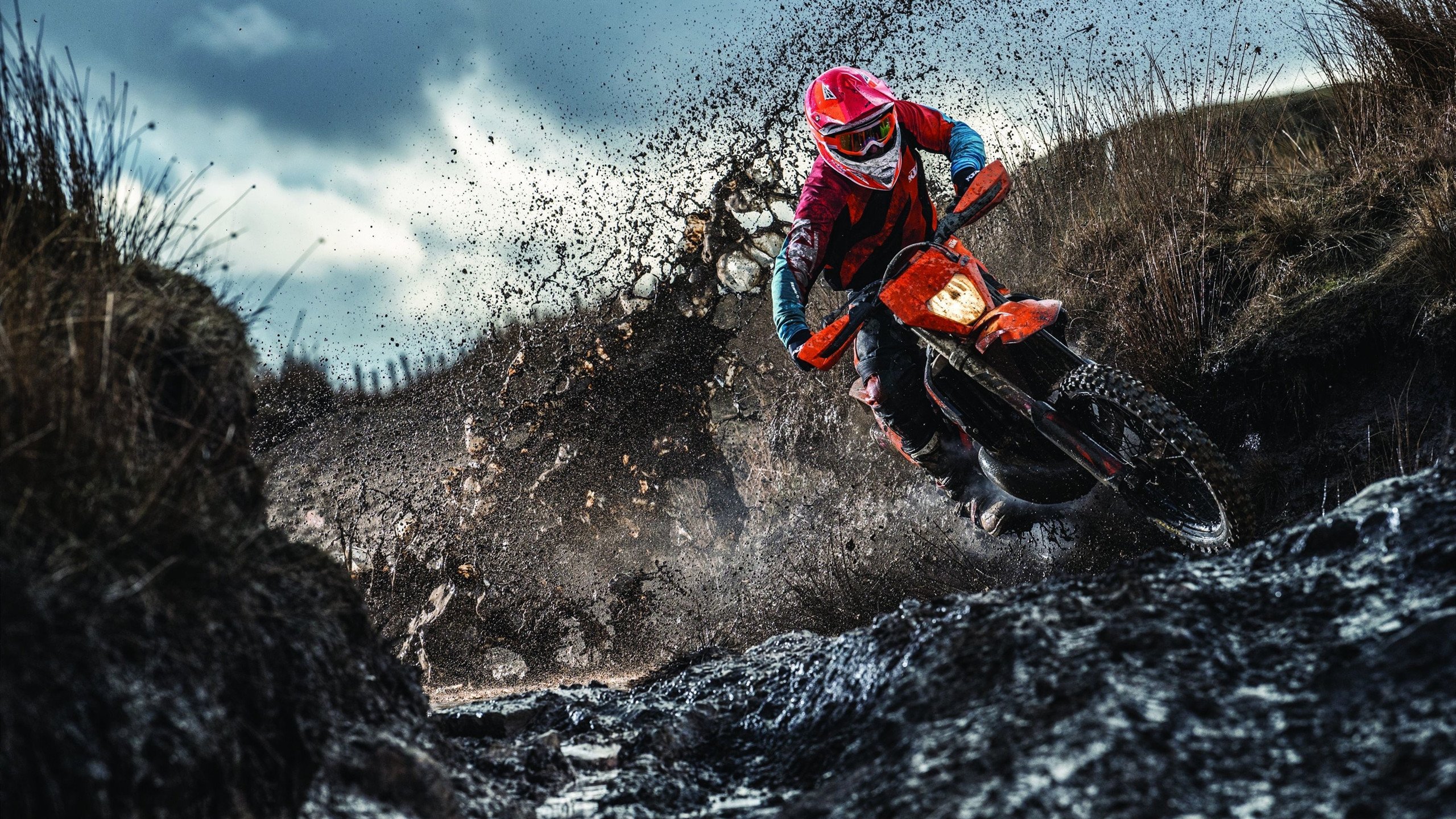 绿茵场上的双重奏，拜仁横扫突尼斯展露獠牙，卢卡库欧冠决赛上演王者接管